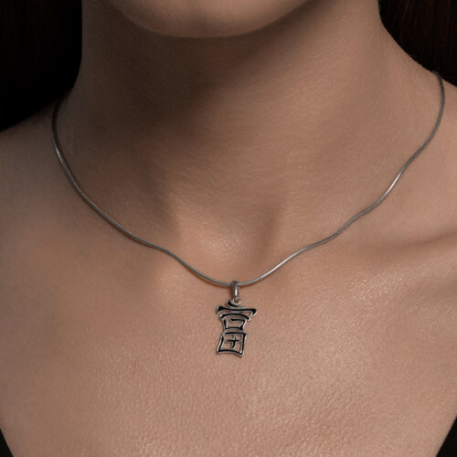 картинка Подвеска-иероглиф "Богатсво" из серебра с эмалью от магазина Драгоценные подарки